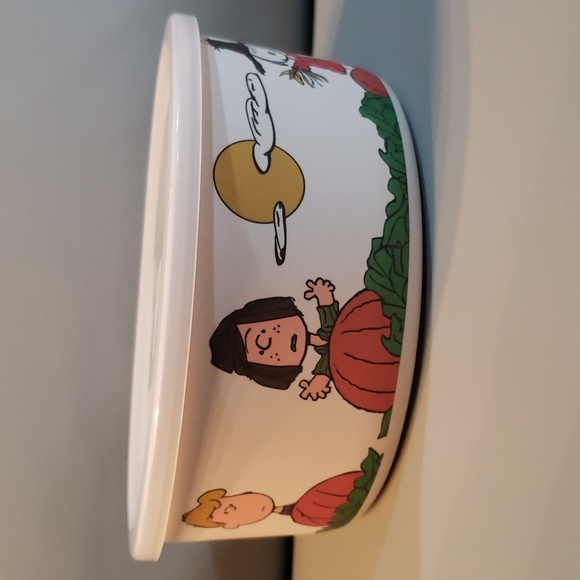 Peanuts character great pumpkin bamboo fibre bowl with lid NWT - Picture 2 of 6